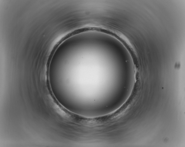 X0000092260791200709141208
