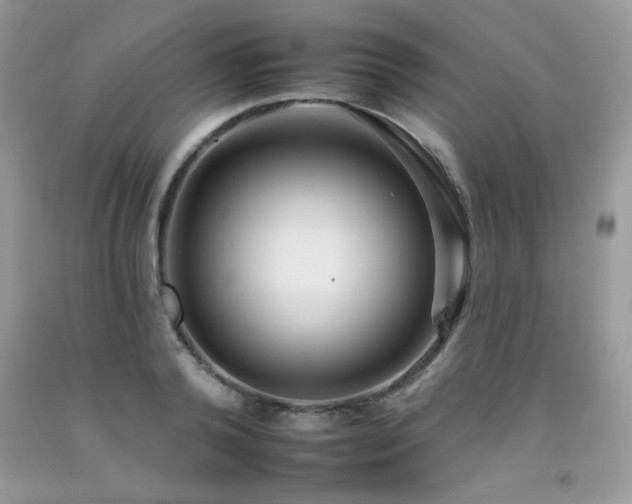 X0000092260792200709141208