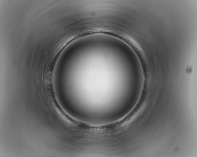 X0000092260793200709141208