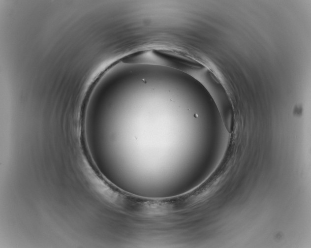 X0000092260795200709141208