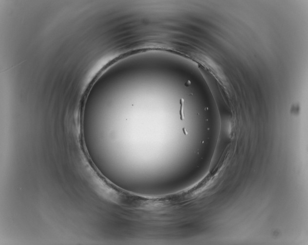 X0000092260796200709141208