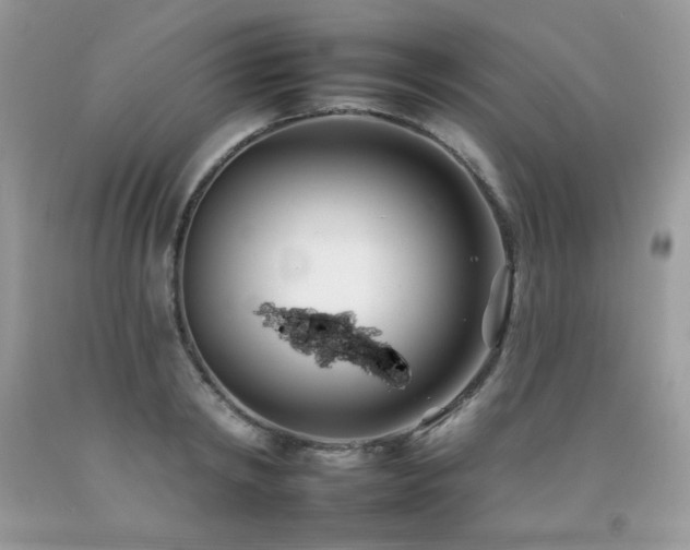 X0000092260798200709141208