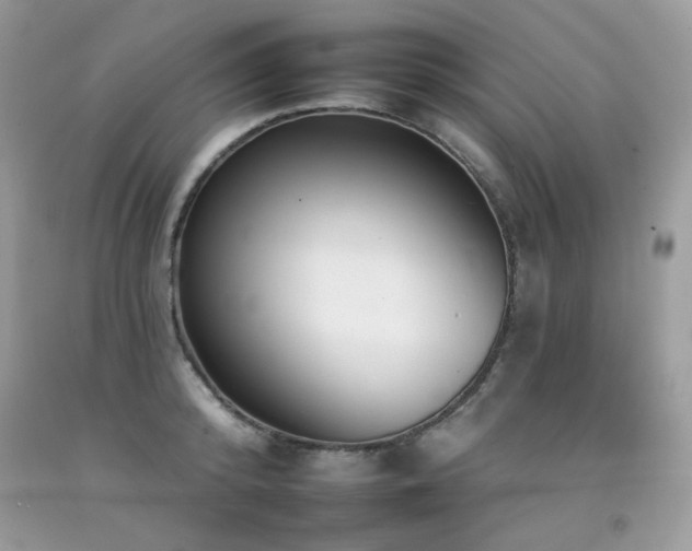 X0000092260800200709141208