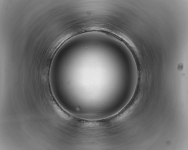 X0000092260801200709141208