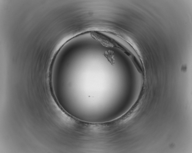 X0000092260803200709141208