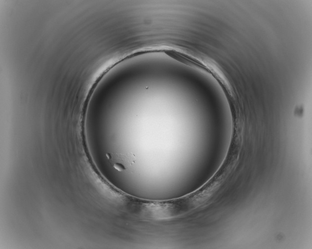 X0000092260805200709141208