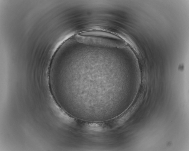 X0000092260806200709141208