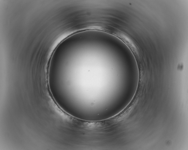 X0000092260808200709141208