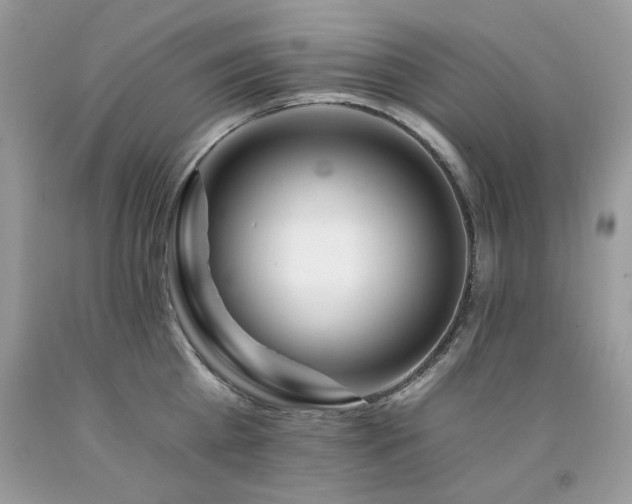X0000092260809200709141208