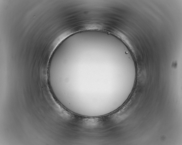 X0000092260810200709141208