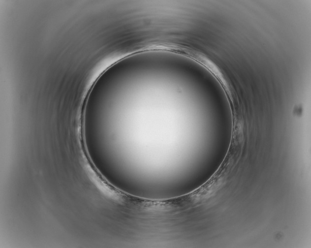 X0000092260811200709141208