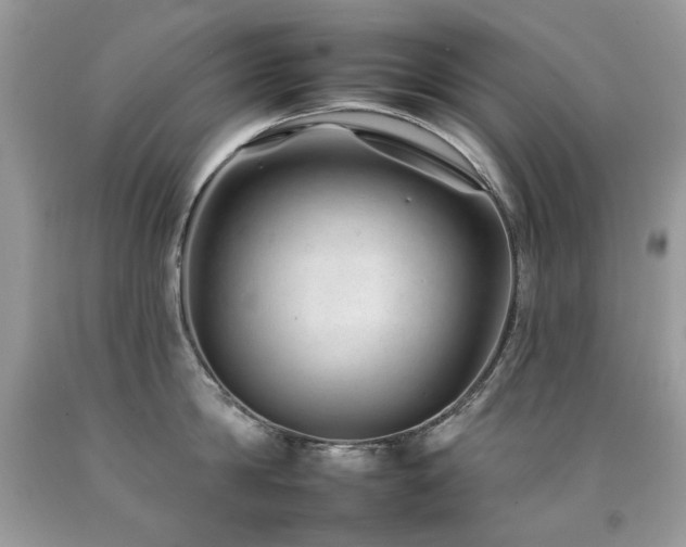 X0000092260814200709141208