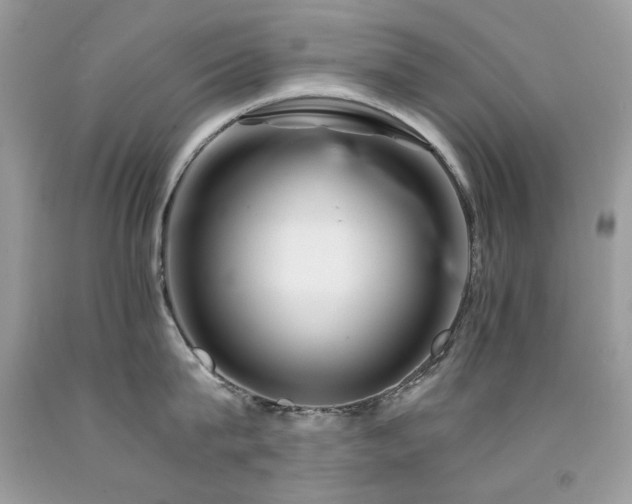 X0000092260815200709141208