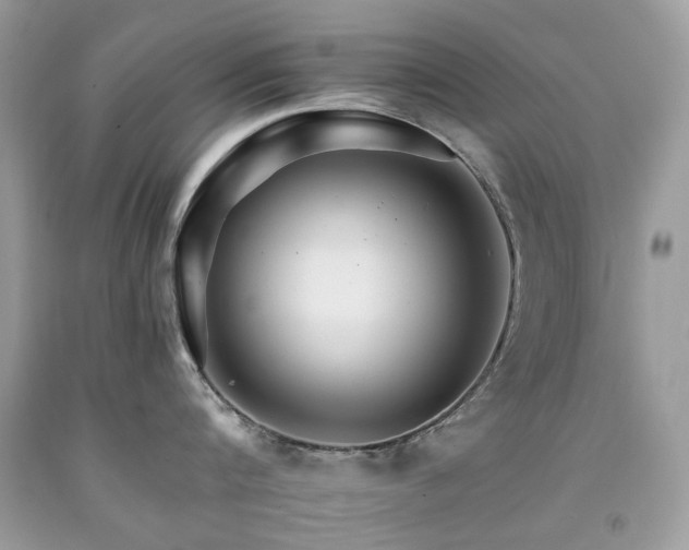 X0000092260816200709141208
