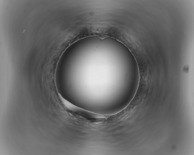 X0000092260817200709141207