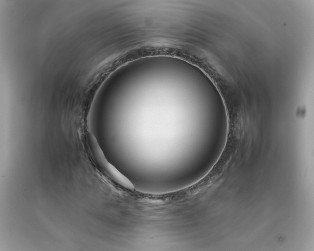 X0000092260821200709141207