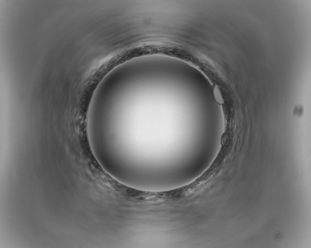 X0000092260822200709141207