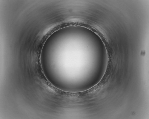 X0000092260823200709141207