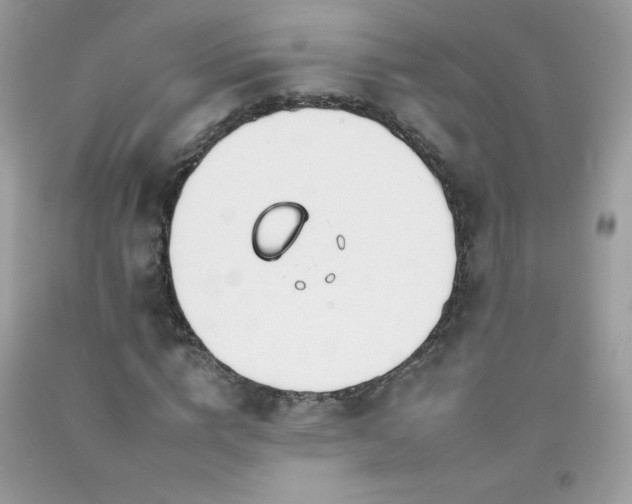X0000092260824200709141207