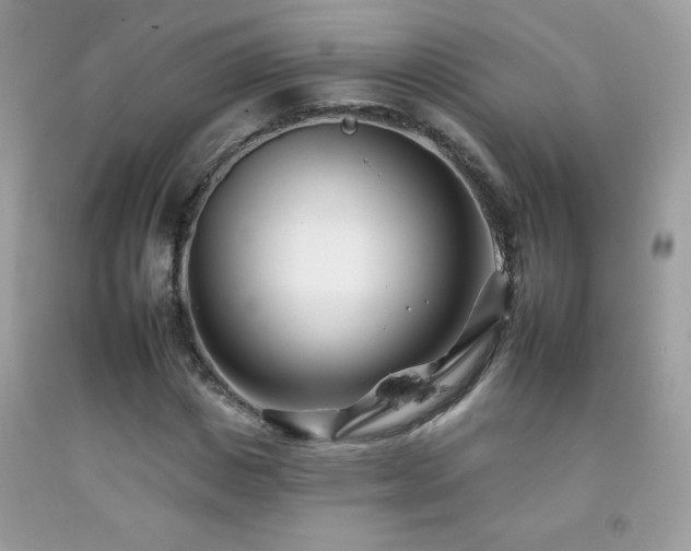 X0000092260825200709141207