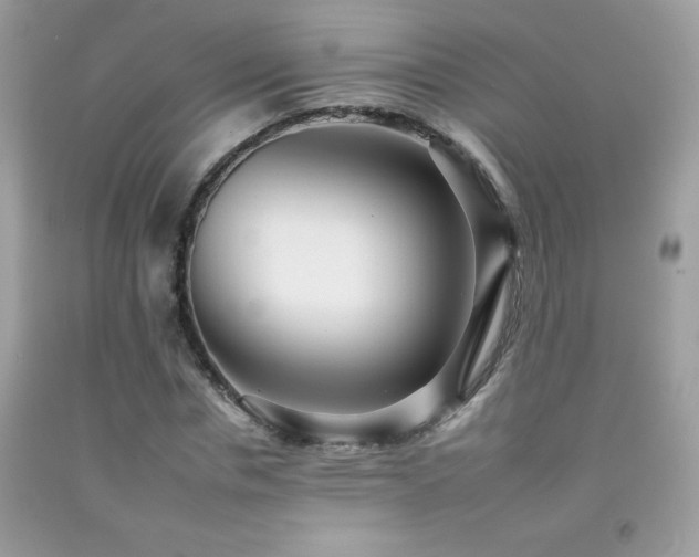 X0000092260826200709141207