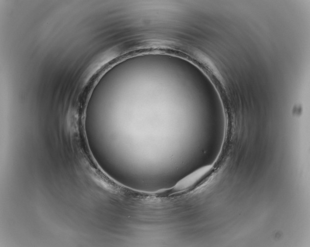 X0000092260827200709141207