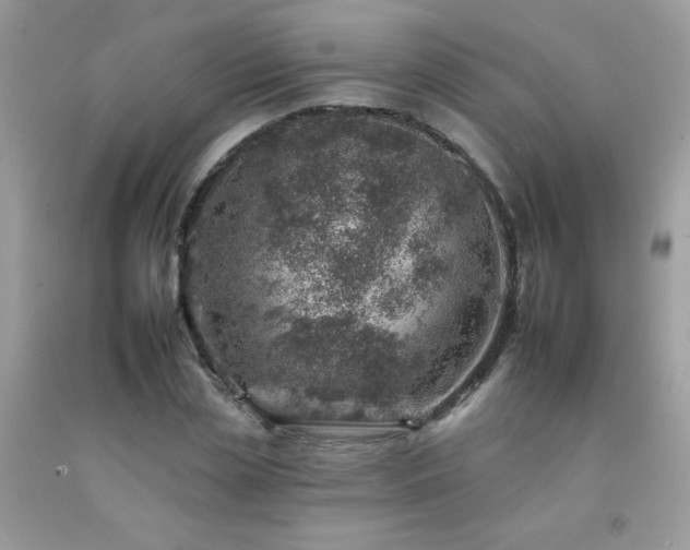 X0000092260829200709141207