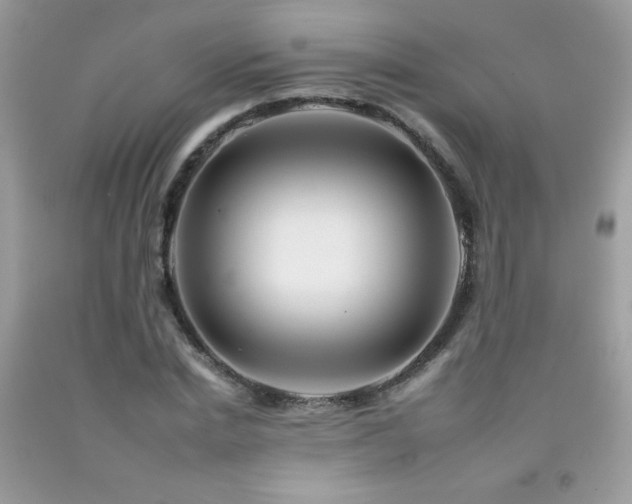 X0000092260830200709141207