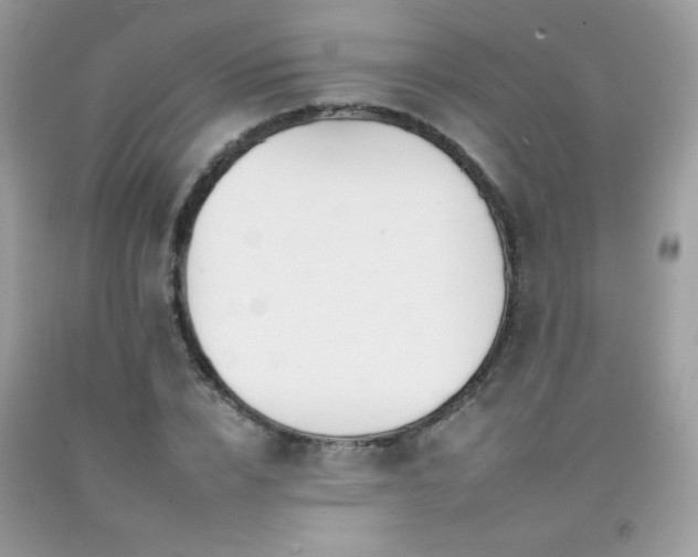 X0000092260832200709141207