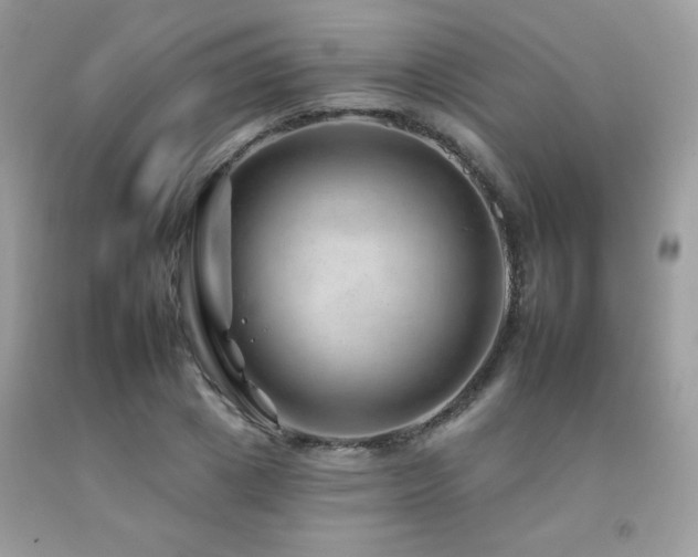 X0000092260833200709141207