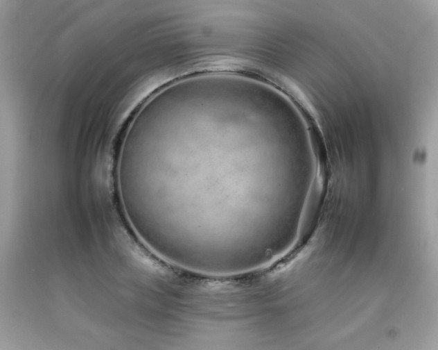 X0000092260835200709141207