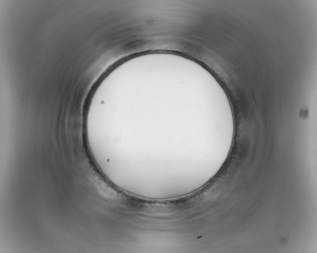X0000092260836200709141207
