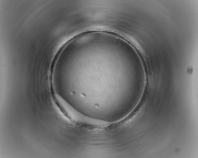 X0000092260839200709141207