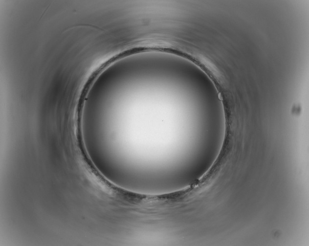 X0000092260840200709141207