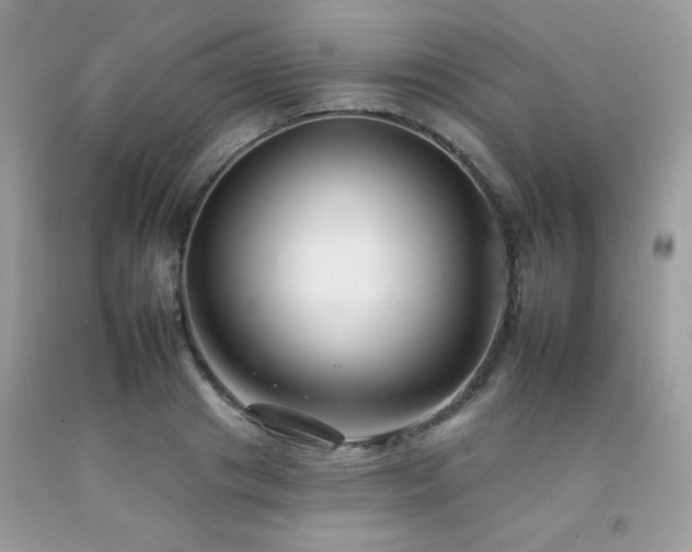 X0000092260841200709141207
