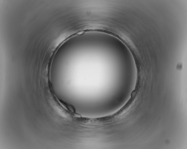 X0000092260842200709141207