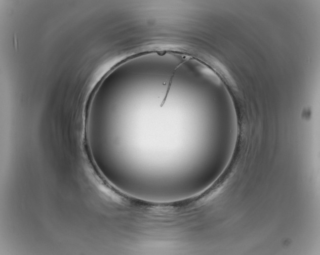X0000092260844200709141207