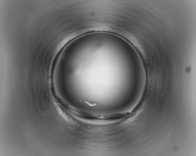 X0000092260845200709141207