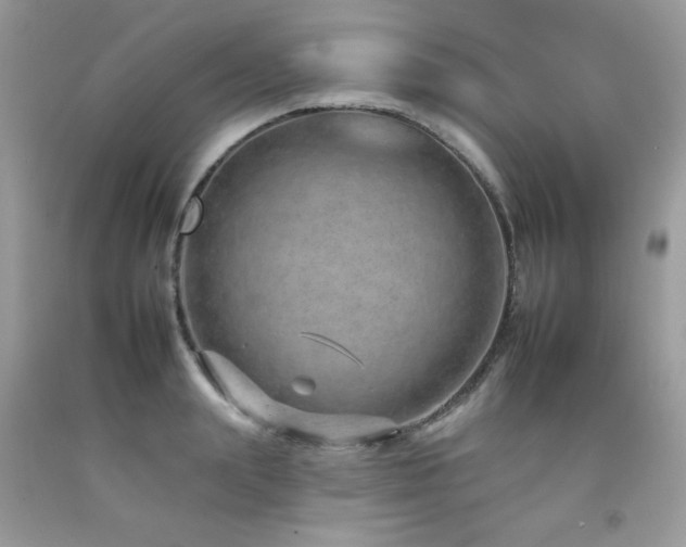 X0000092260847200709141207