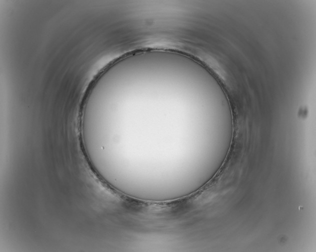 X0000092260848200709141207