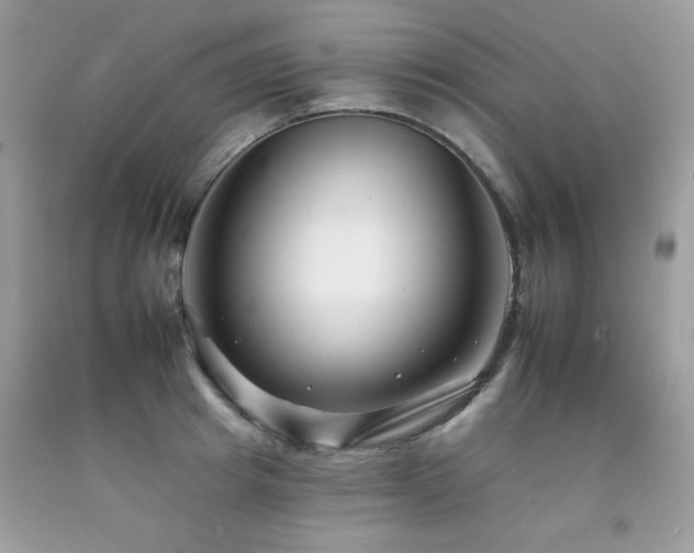 X0000092260849200709141207