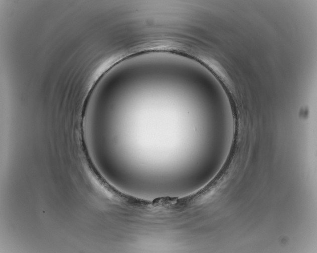 X0000092260850200709141207
