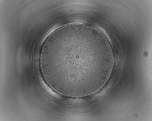 X0000092260851200709141207