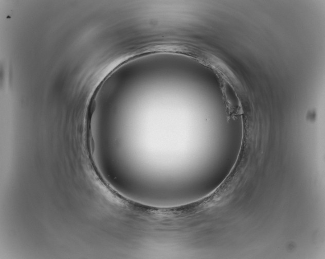 X0000092260852200709141207