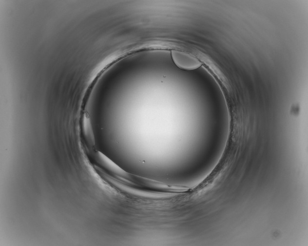 X0000092260853200709141208