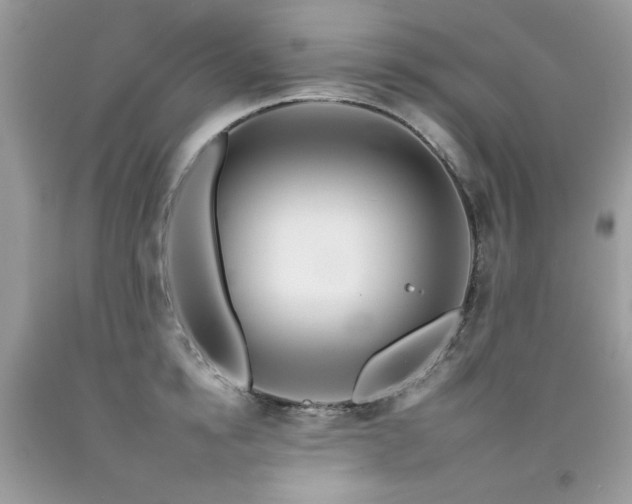 X0000092260854200709141208