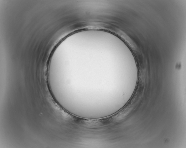 X0000092260856200709141208