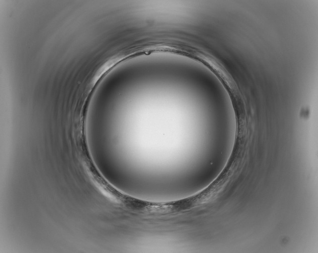 X0000092260858200709141208