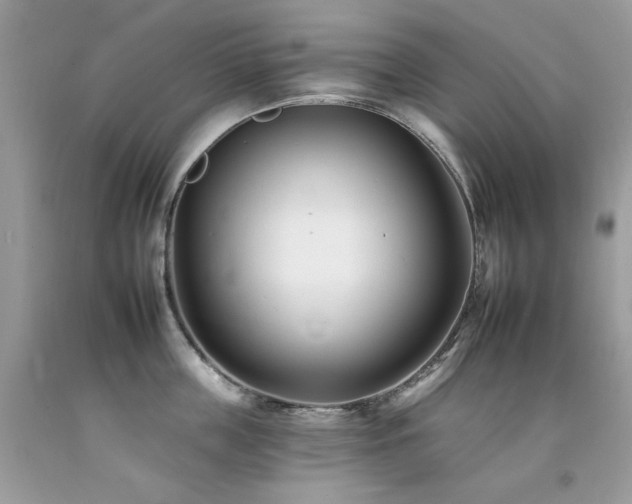 X0000092260859200709141208