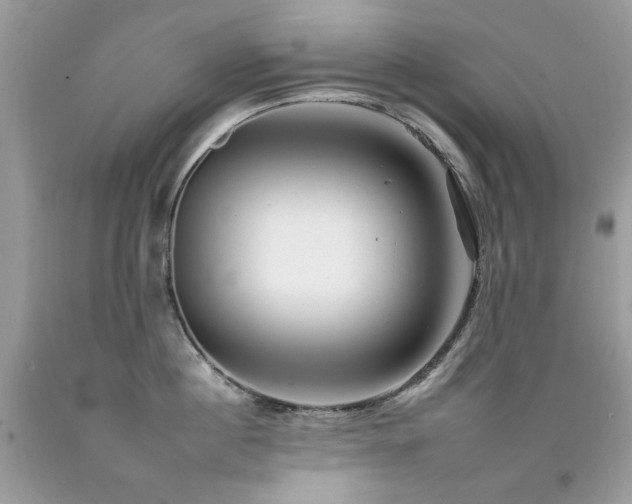 X0000092260860200709141208